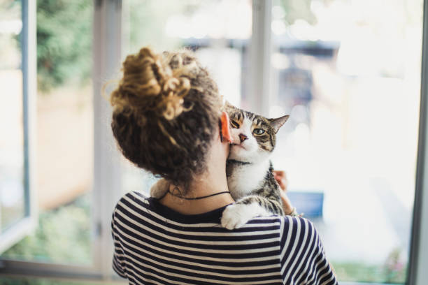 istock A girl holding her cat 854219324