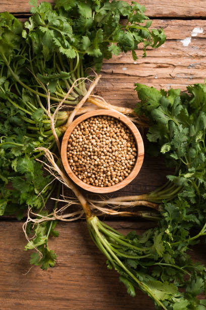 istock Coriander seeds and leaves on a wood background 854220214
