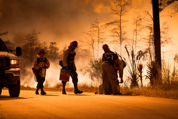 пожарные реагируют на лесной пожар - big cypress swamp national preserve стоковые фото и изображения