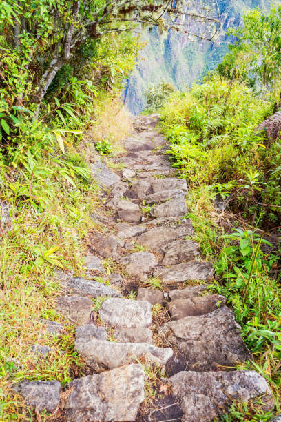 istock Inca Trail to Machu Picchu in Peru 854233418