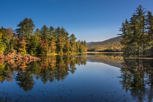 Autumn Reflection in Scenic Vermont