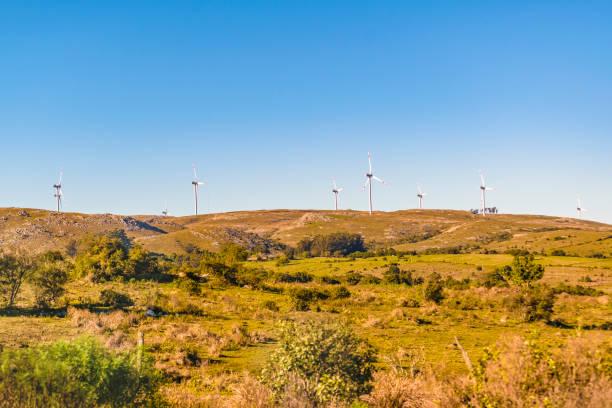 istock Eolic Windmills at Countryside, Maldonado, Uruguay 854253966