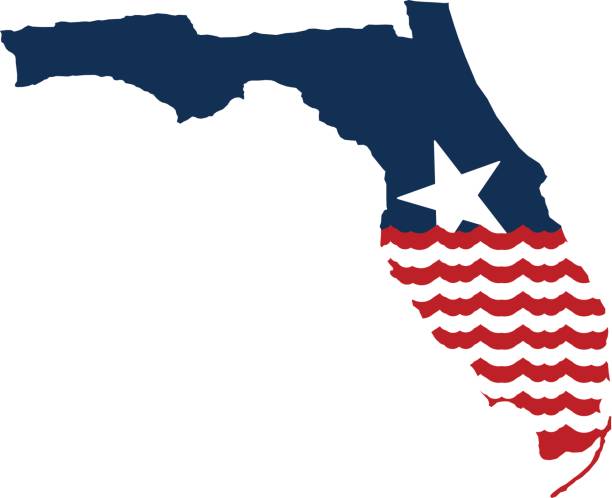 플로리다 지도, 허리케인 피해자 지원 홍수 - hurricane florida stock illustrations