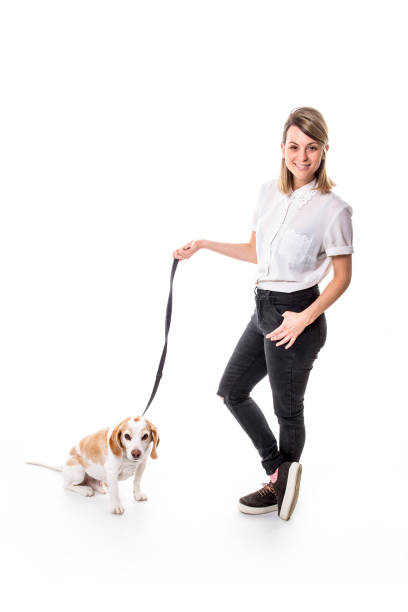 istock Dog with woman are posing in studio - isolated on white background 854258410