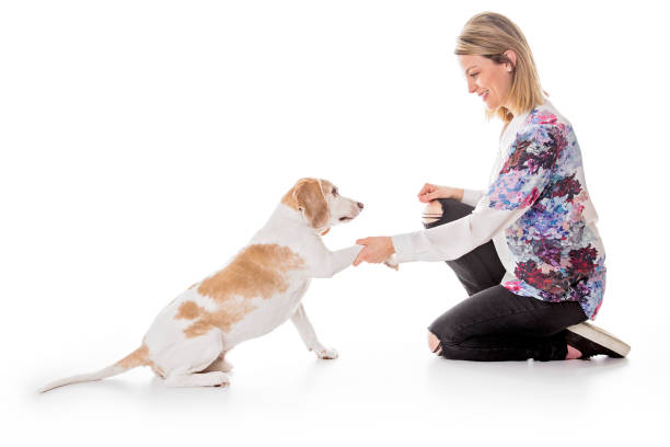 istock Dog with woman are posing in studio - isolated on white background 854261002