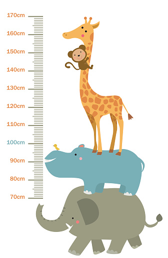 The child's height illustrations