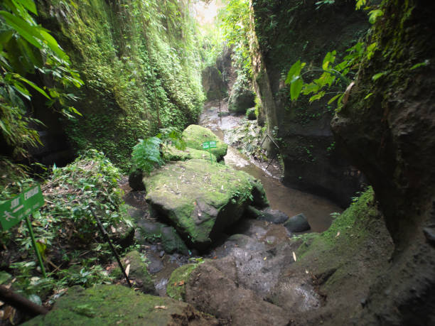 istock Tukad Cepung waterfall, Bali, Indonesia 854269360