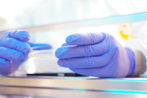 istock Scientist in a clean room 854270594