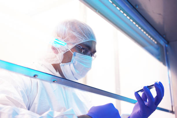 ученый в чистой комнате - genetic research men chemical protective glove стоковые фото и изображения