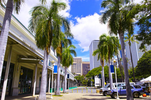 view of the business area seen from Hawaii Aloha Tower