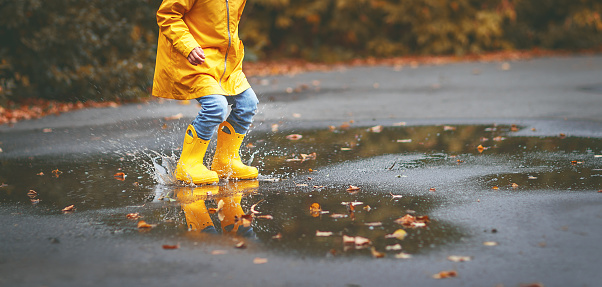 legs of child in yellow rubber boots in a puddle in autumn