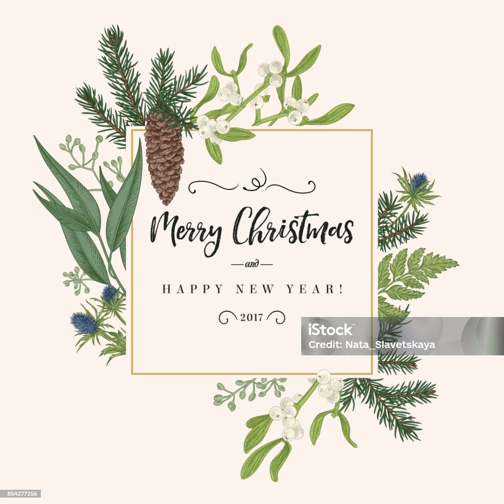 Christmas frame in vintage style. Christmas holiday frame in vintage style. Greeting invitation card. Botanical illustration with pine branches, pine cones, mistletoe, fern. Christmas stock vector
