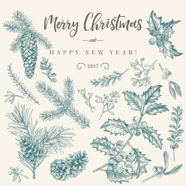 ilustraciones, imágenes clip art, dibujos animados e iconos de stock de tarjeta de navidad con plantas tradicionales. - christmas holiday fir tree food