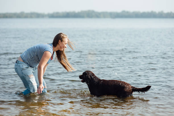 istock beautiful girl is playing with brown labradors 854280654