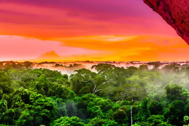 Photo of Purple sunset over the brazilian rainforest in the Amazon region