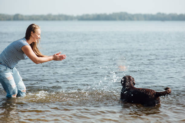 istock beautiful girl is playing with brown labradors 854288112