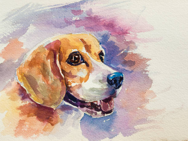 istock Watercolor painting portrait of adorable beagle 854292040