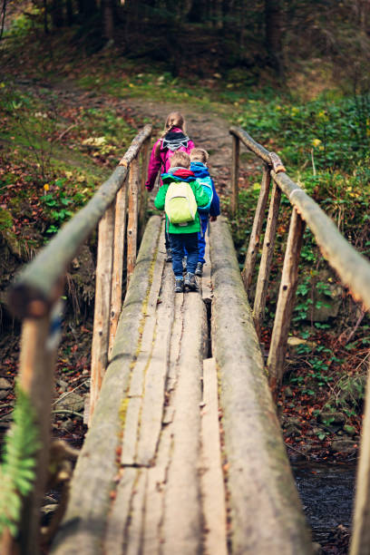 istock Three little hiker walking on wooden bridge 854293560