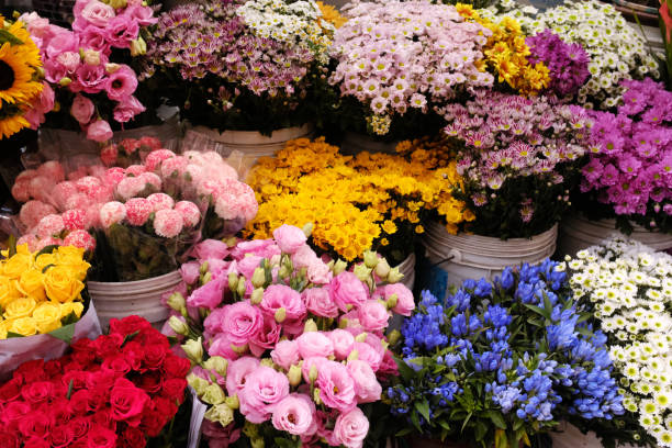 kwiaciarnia - kwiaciarnia zdjęcia i obrazy z banku zdjęć