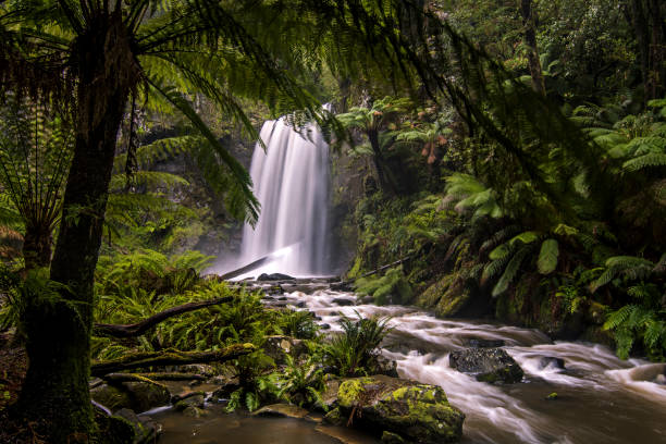 cascate hopetoun - parco nazionale di otway - otway national park foto e immagini stock