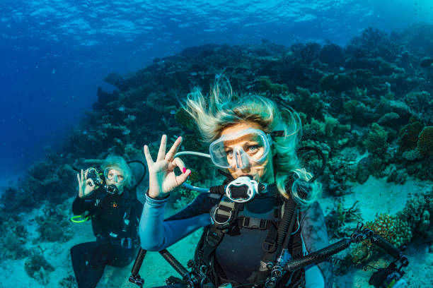 Scuba diver is exploring and enjoying Coral reef  Sea life Couple Two sporting women Underwater photographer stock photo