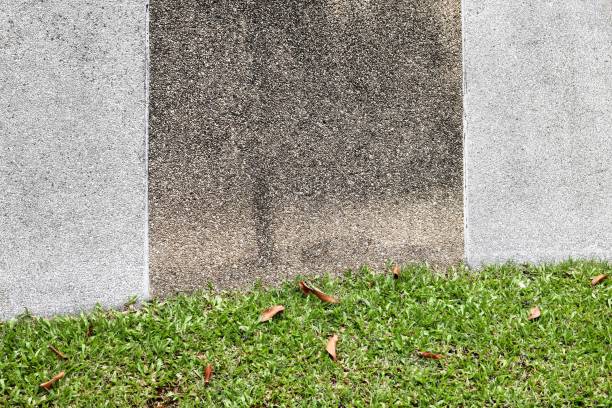 istock Gravel ground with green grass 854312064