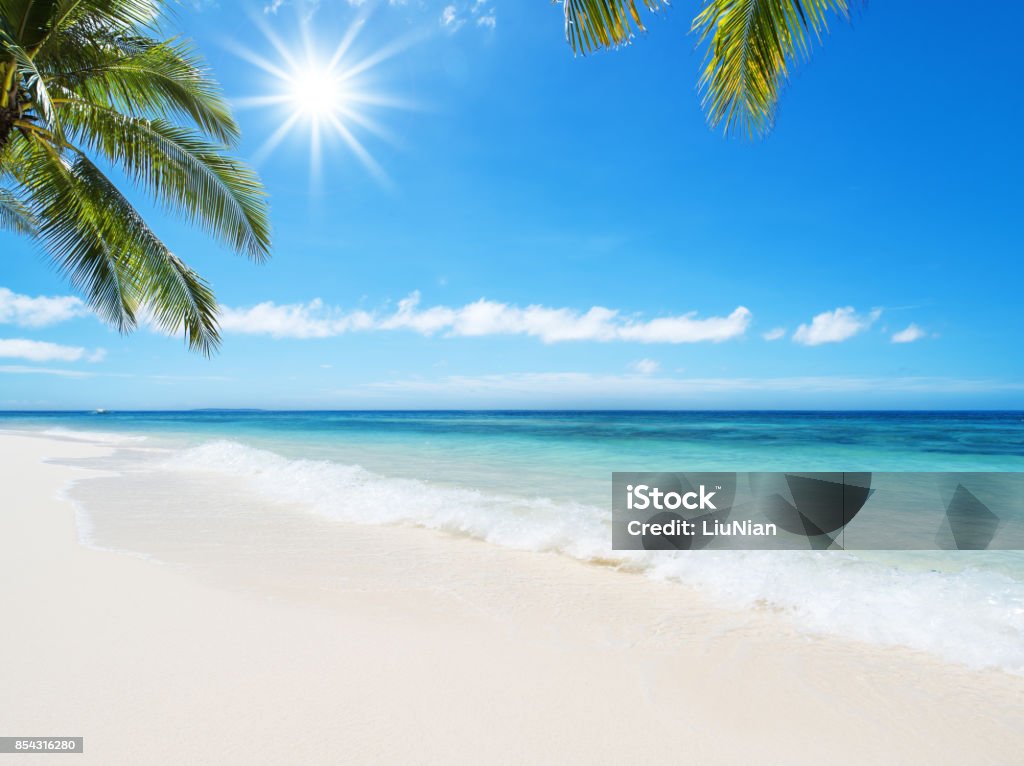 Tropical beach idyllic landscape Tropical paradise beach Beach Stock Photo