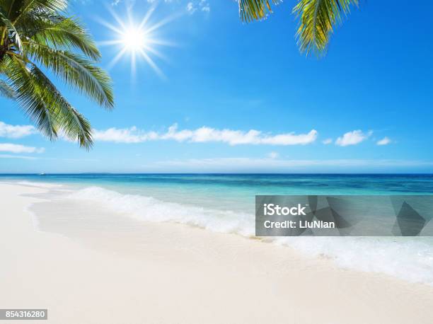 Tropical Beach Idyllic Landscape Stock Photo - Download Image Now - Beach, Sunny, Tropical Climate