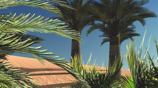 istock Awesome sight on Sahara desert at sunset 3d rendering 854326760