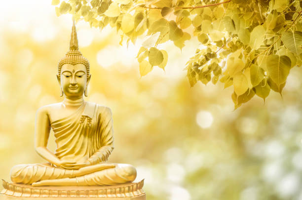 magha asanha visakha puja jour, statue de bouddha, des feuilles de bodhi avec double exposition et len évasée, douce image et style flou - bouddha photos et images de collection