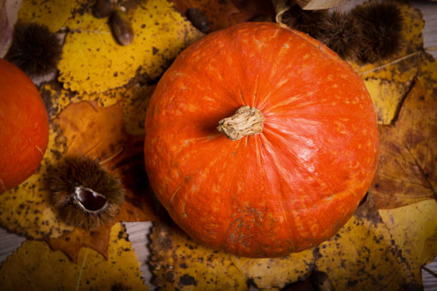 istock Autumn decoration arranged with natural elements such as colorful dry leaves 854336258