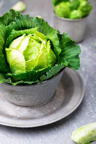 istock Fresh green cabbage in metal plate on grey background. Close up 854340620