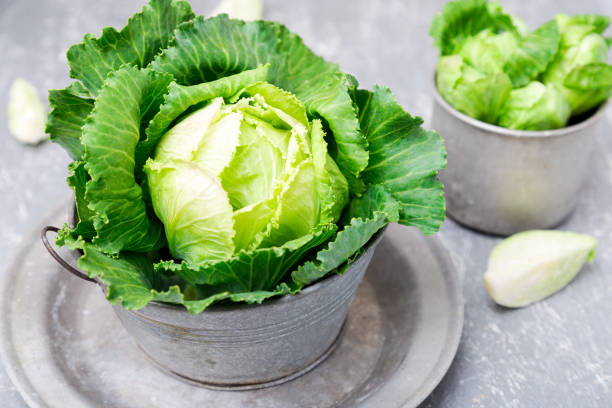 istock Fresh green cabbage in metal plate on grey background. Close up 854340634