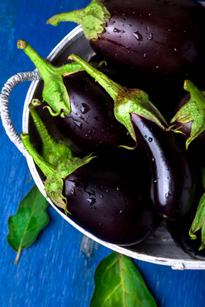 istock Fresh eggplant in grey basket on blue wooden table.Rustic background. Top view. Copy space. Vegan vegetable. 854340730
