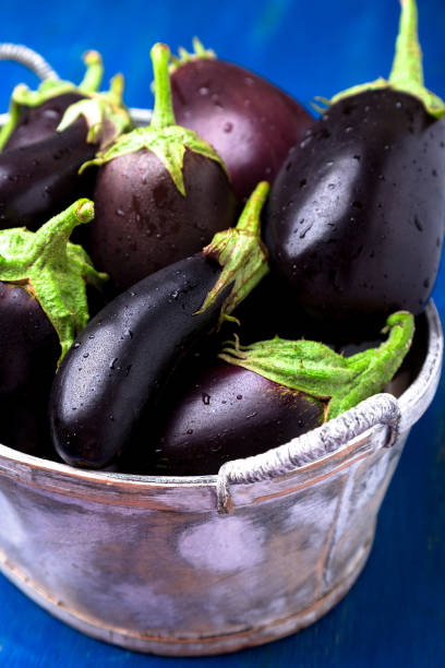 istock Fresh eggplant in grey basket on blue wooden table.Rustic background. Close up. Vegan vegetable. 854340746