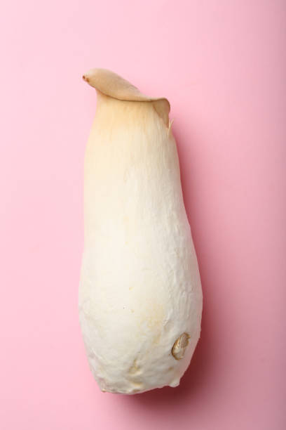 One king oyster mushroom on pink, food above