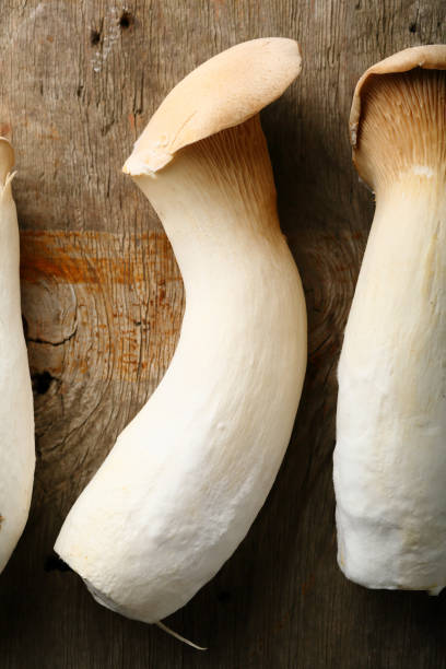 istock Oyster mushrooms, top view 854342624