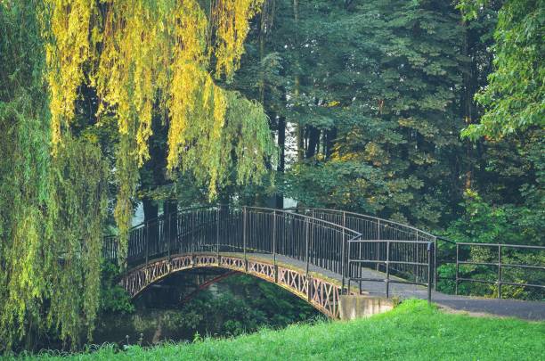 istock Green park in the morning. 854342904