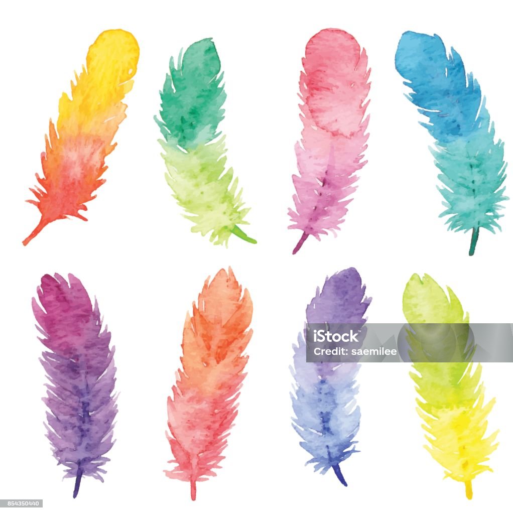 Watercolor Colorfull Feathers Vector illustration of watercolor painting. Feather stock vector