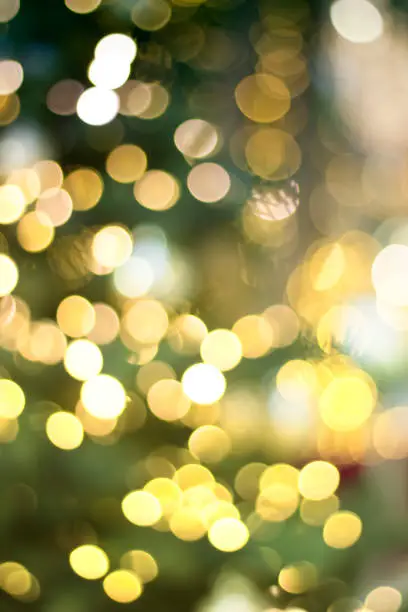 Photo of bokeh