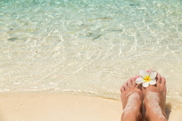 Bare female feet with single white frangipani flower, in the water of the sea with small tropical fish surrounded, holiday concept. stock photo