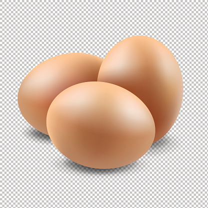Eggs Set Gradient Mesh, Vector Illustration