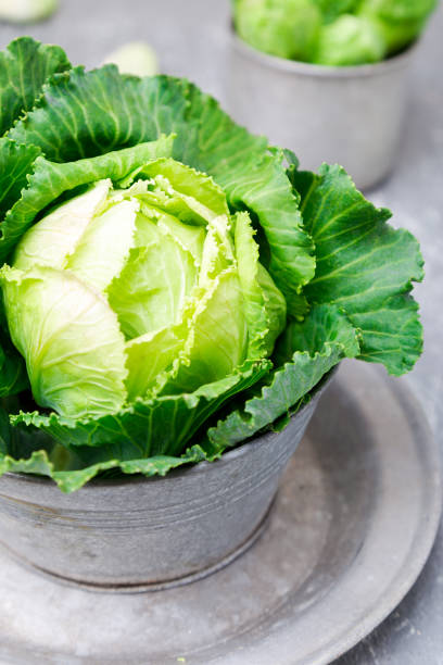 istock Fresh green cabbage in metal plate on grey background. Close up 854354998