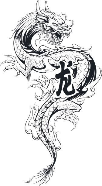 Dragon Vector Tattoo Black asian dragon tattoo Illustration isolated on white. Vector art. dragon tattoos stock illustrations