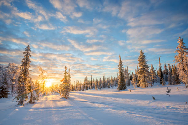 Snowy landscape at sunset, frozen trees in winter in Saariselka, Lapland, Finland stock photo