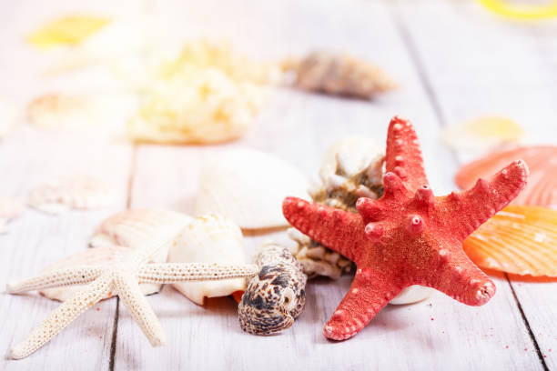 istock Beach Accessories On White Table - Summer Holiday 854362590