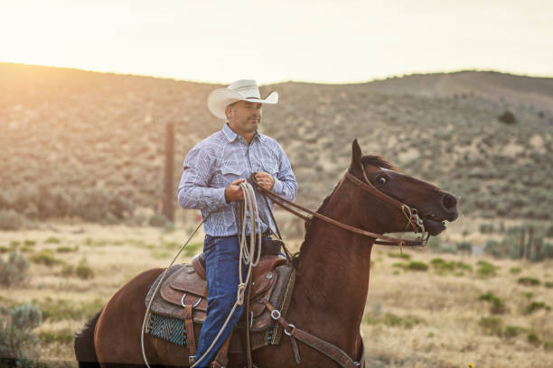istock Cowboy in the fields at sunset, Utah, USA 854362632