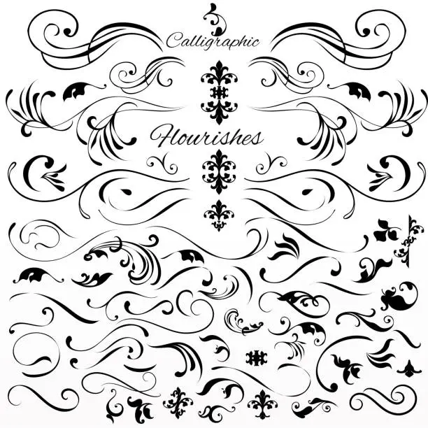 Vector illustration of Vector set of vintage styled calligraphic elements or flourishes