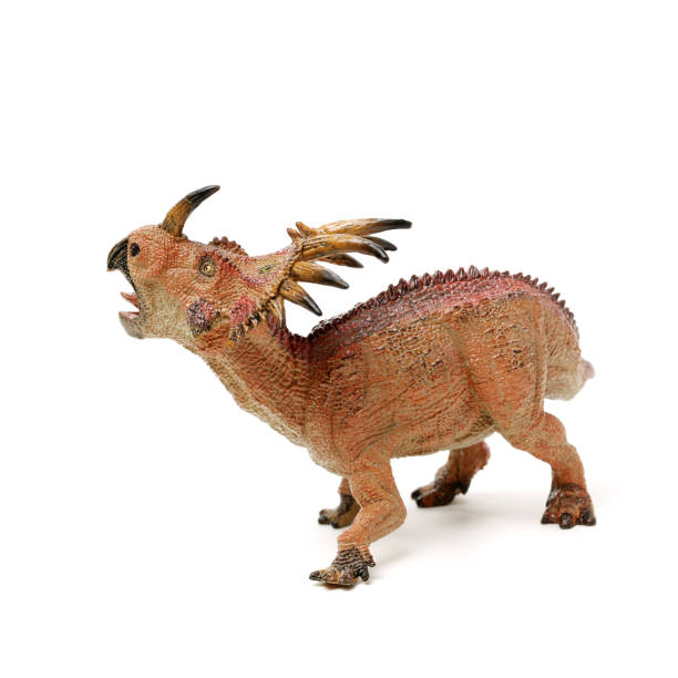istock Triceratops close up on the white background 854368816