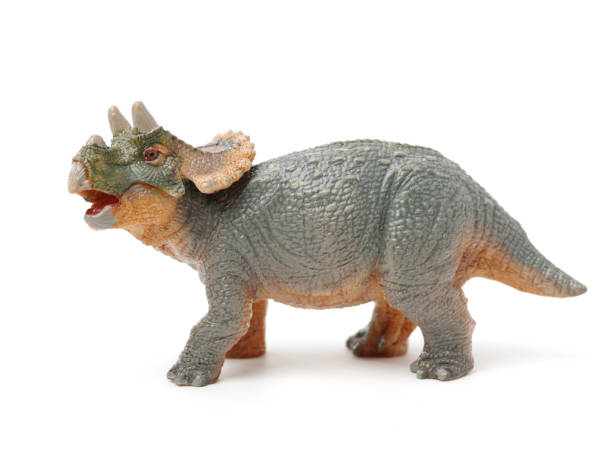 istock Triceratops close up on the white background 854369054